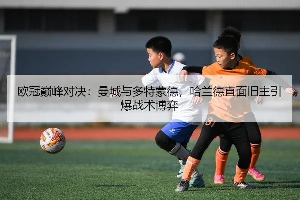 ou-guan-dian-feng-dui-jue-man-cheng-yu-duo-te-meng-de-ha-lan-de-zhi-mian-jiu-zhu-yin-bao-zhan-shu-bo-yi-2-249.jpg